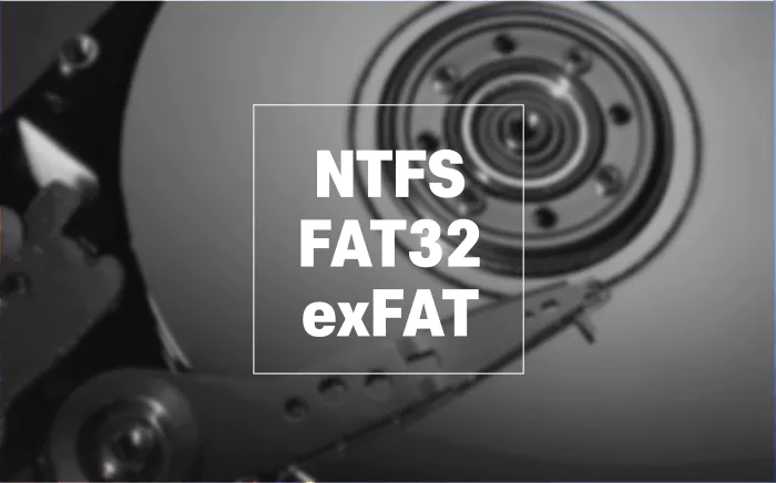 하드디스크 내부 이미지 위 NTFS FAT exFAT타이포