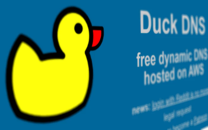Duckdns 홈페이지 화면