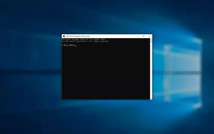 WWW 윈도우 명령 프롬프트