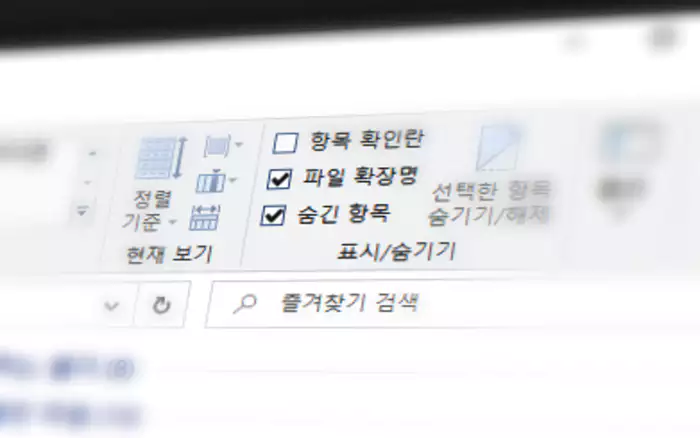 Windows 파일탐색기 숨긴 항목 옵션